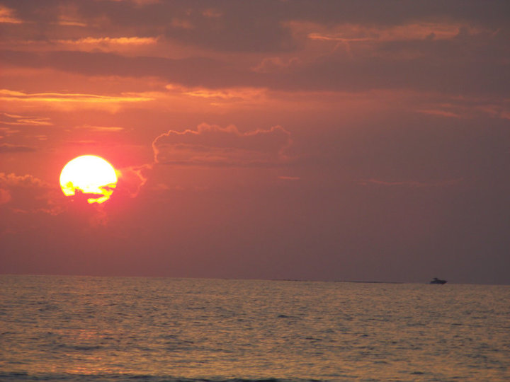 40619_422696871855_893536_n