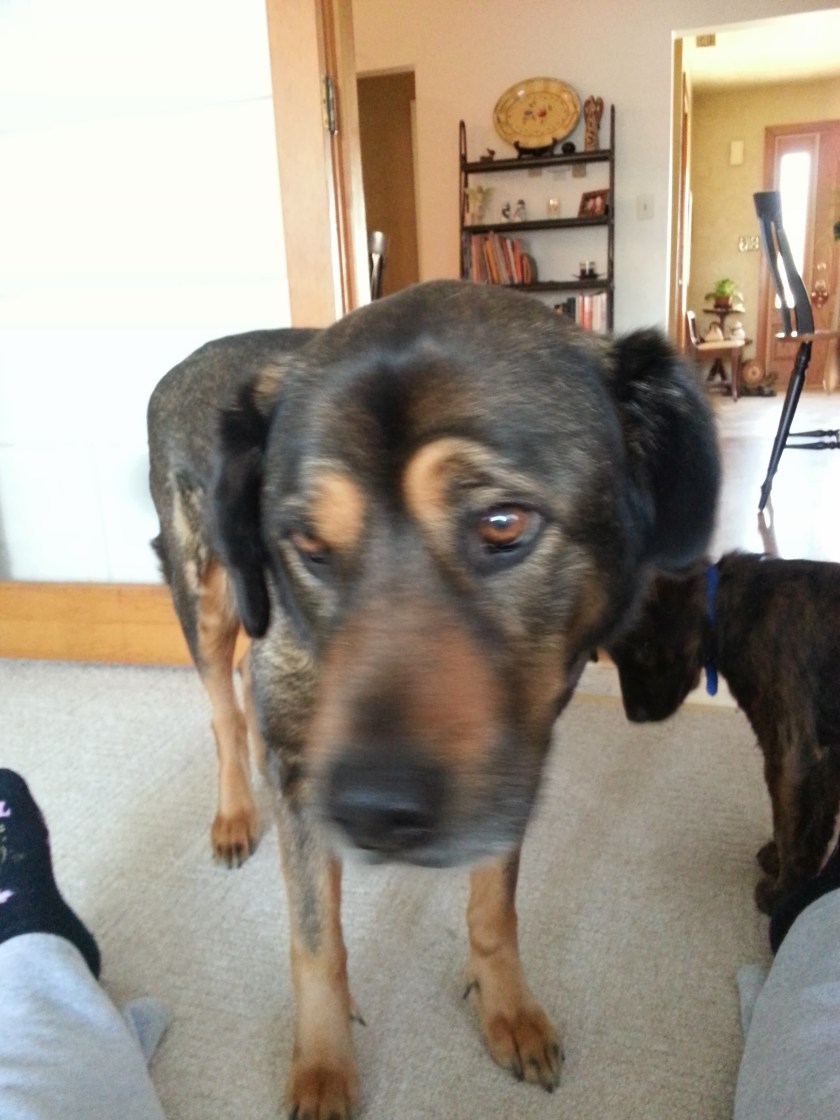 She looks thrilled, doesn't she?