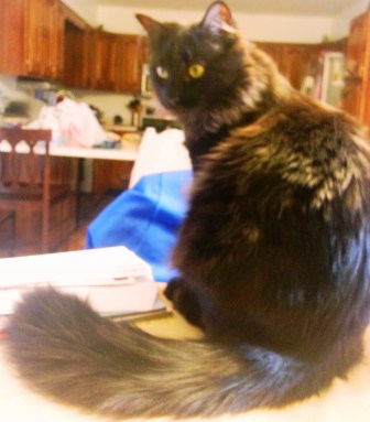 IMG_20140112_154008a